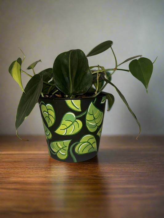 4.7” Neon Pothos