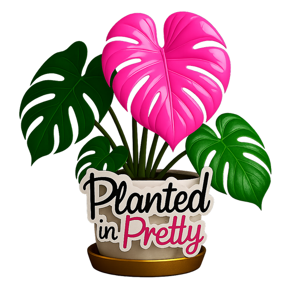 Planted In Pretty